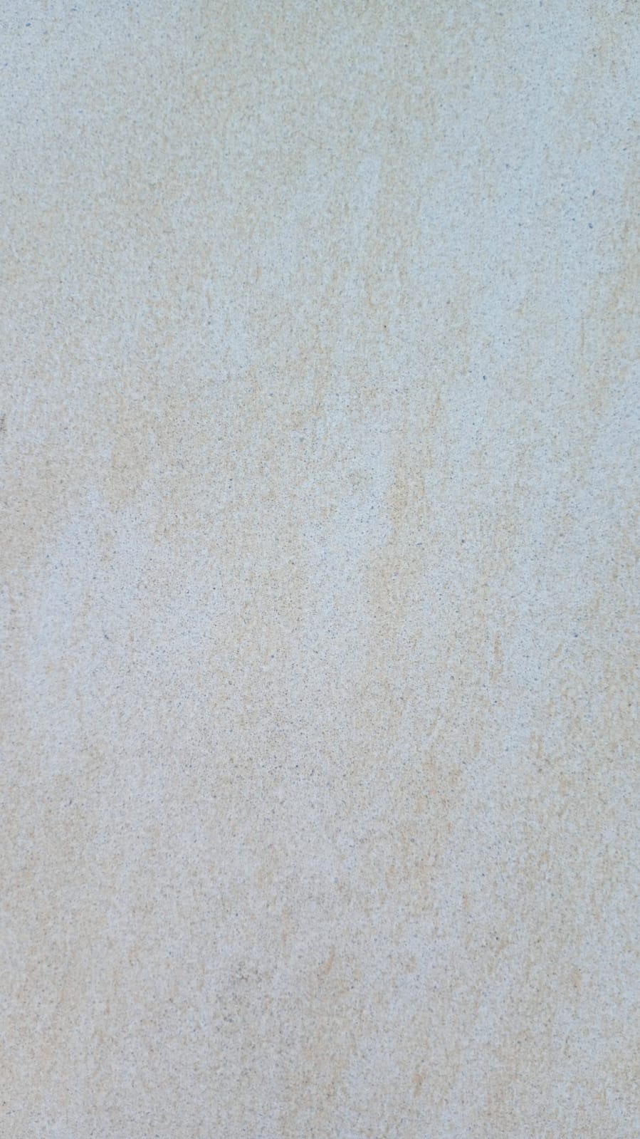 Sahara